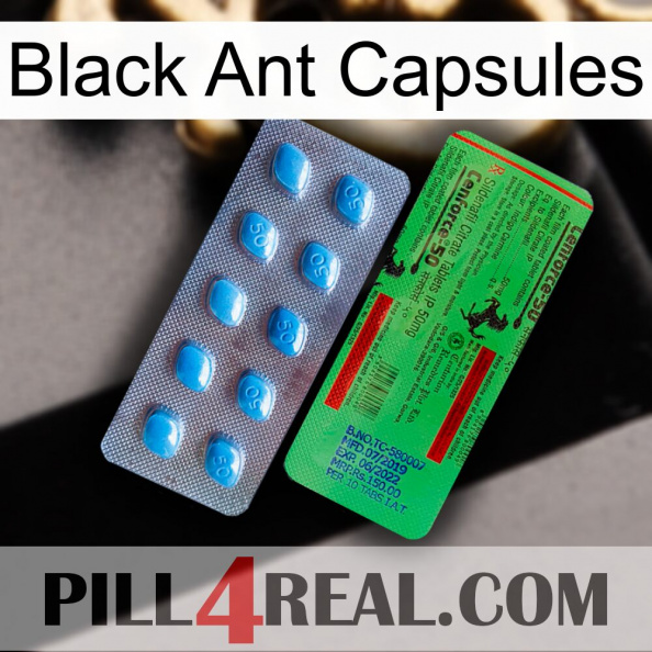 Black Ant Capsules new03.jpg